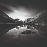 Black & White Nature Photographic Art | Cobra Art Dark Eclipse