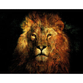Lion's Law Jungle King Headshot photographic art print by Cobra Art