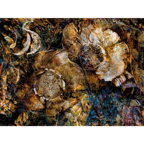 Autumn Brown Leaves photographic art print by Cobra Art