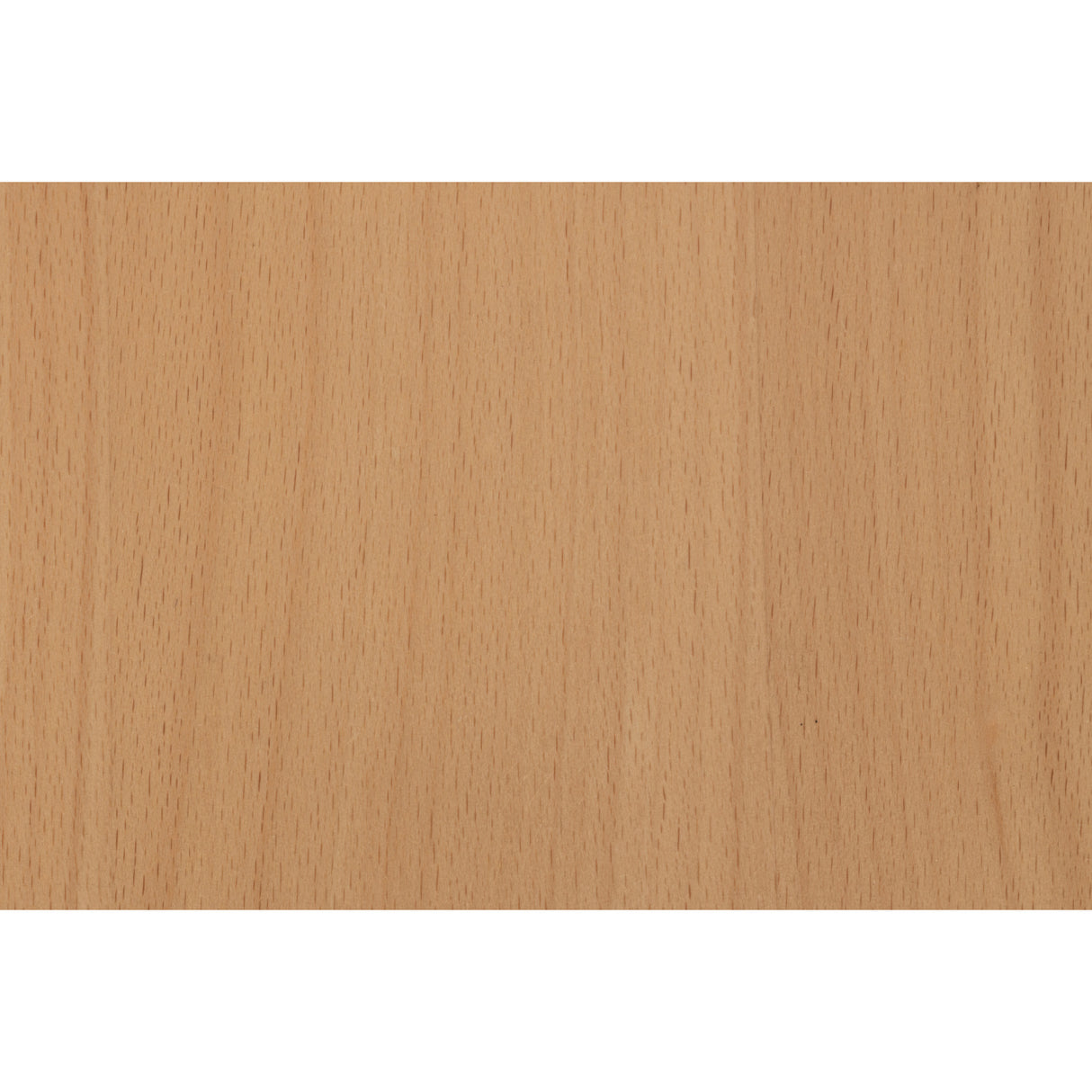   Beech Wood Dining Chairs (2) | Oroa.com