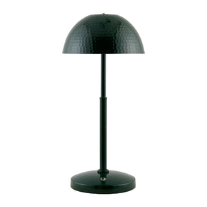   Metal Dome Accent Table Lamp | Oroa.com