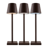 Modern European furniture - Brown Iron Accent Table Lamp - www.oroa.com