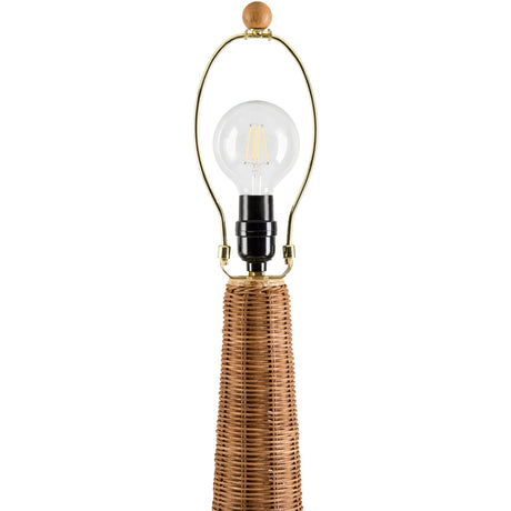 Modern European furniture - Rattan Dome Accent Floor Lamp - www.oroa.com