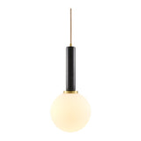 Modern European furniture - Globe Pendant Lamp - www.oroa.com