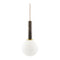 Modern European furniture - Globe Pendant Lamp - www.oroa.com