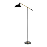 Modern European furniture - Black Metal Accent Floor Lamp - www.oroa.com