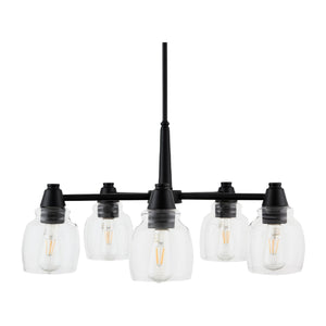   Iron Framed Glass Chandelier | Oroa.com