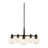 Modern European furniture - Iron Framed Glass Chandelier - www.oroa.com
