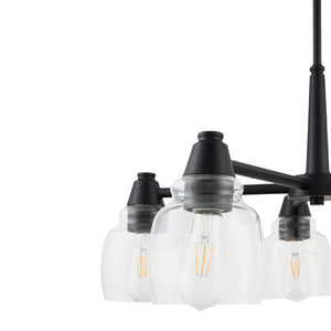   Iron Framed Glass Chandelier | Oroa.com