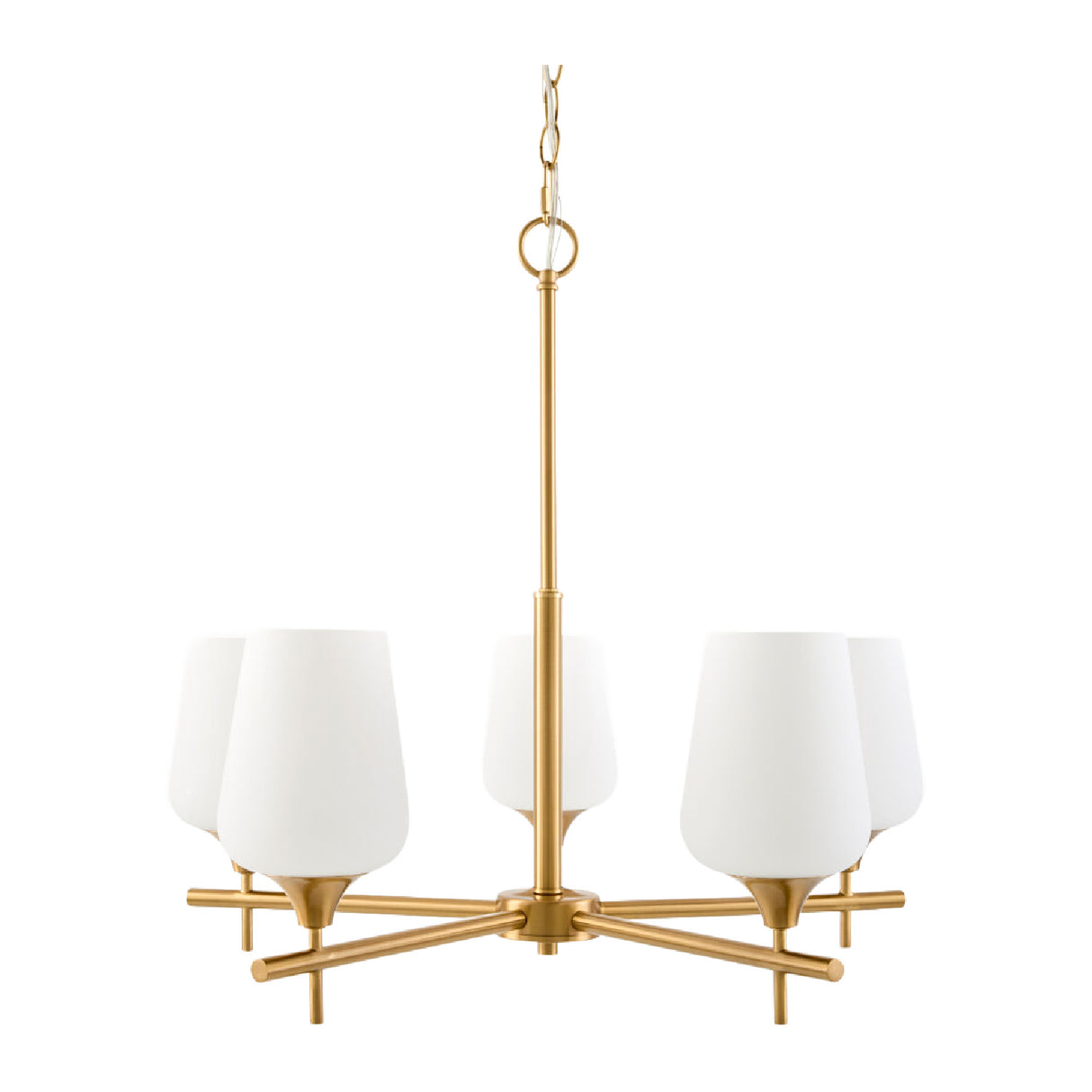   5-Light Glass Chandelier | Oroa.com