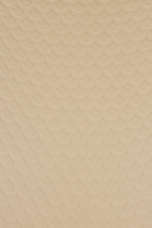 Molded Shell Dining Chairs (2) | DF Leon | Oroa.com