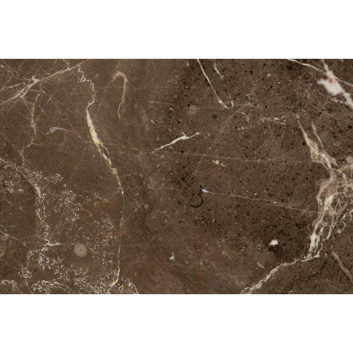   Beige Marble Round Side Table | Oroa.com
