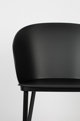 Curved Back Dining Chairs (2) | DF Gigi | Oroa.com