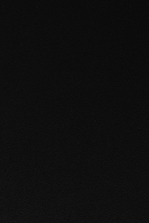 Curved Back Dining Chairs (2) | DF Gigi | Oroa.com