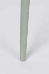 Curved Back Dining Chairs (2) | DF Gigi | Oroa.com
