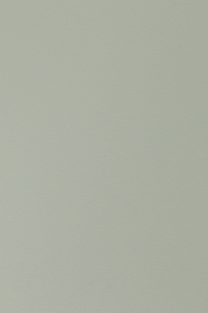 Curved Back Dining Chairs (2) | DF Gigi | Oroa.com