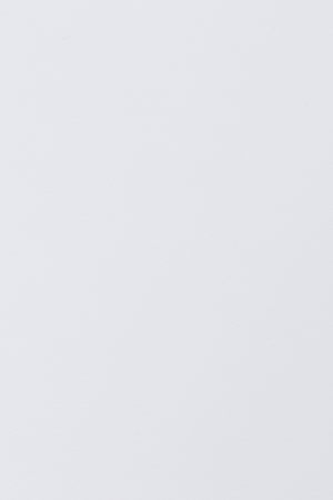 Curved Back Dining Chairs (2) | DF Gigi | Oroa.com