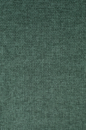 Modern Upholstered Dining Chairs (2) | DF Lionel | OROA.com