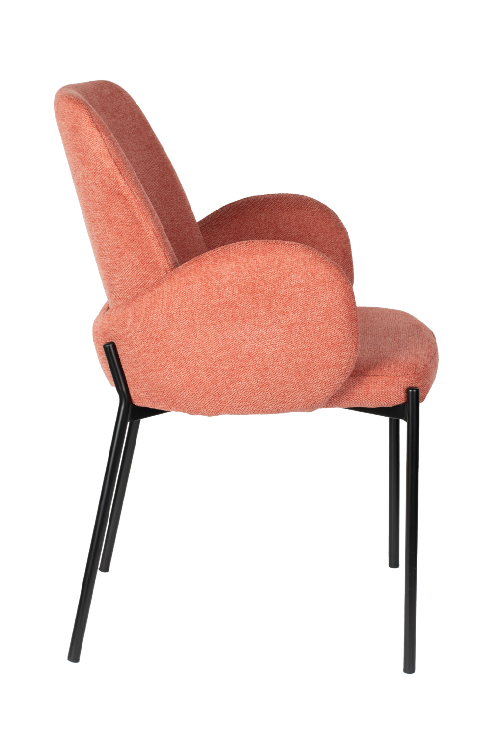 Modern Dining Armchairs (2) | DF Tjarda | OROA.com