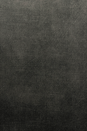 Velvet Modern Dining Armchairs (2) | DF Jamie | OROA.com