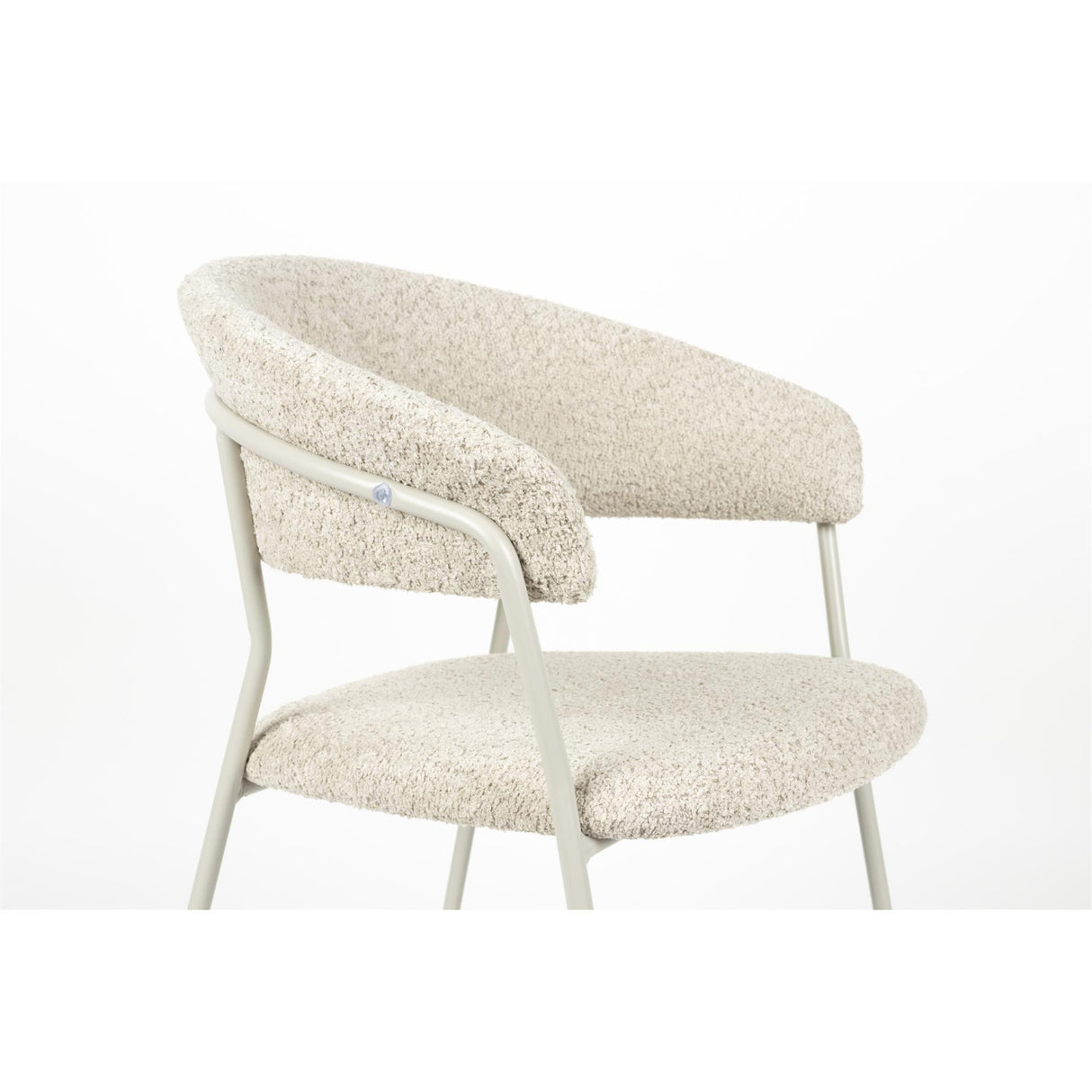   Curved-Back Dining Armchairs (2) | Oroa.com