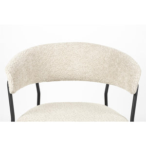   Curved-Back Dining Armchairs (2) | Oroa.com
