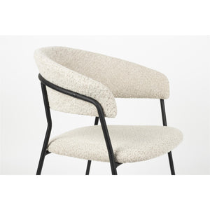   Curved-Back Dining Armchairs (2) | Oroa.com