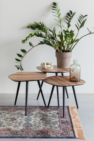 Teak Modern Coffee Table Set (3) | DF Cuties | OROA.com