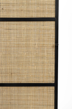 Rattan Webbing Modern Cabinet | DF Guuji | OROA.com