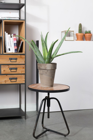 Multilevel Bookcase | DF Samuel | OROA.com