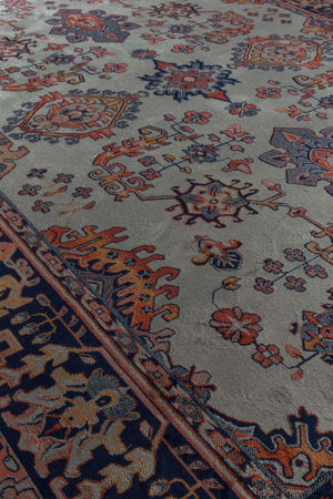 Persian Style Viscose Carpet 5' x 7'5" | DF Raz | Oroa.com