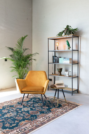 Persian Style Viscose Carpet 5' x 7'5" | DF Raz | Oroa.com