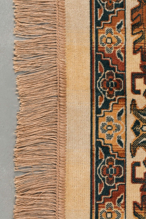 Persian Style Viscose Carpet 5' x 7'5" | DF Raz | Oroa.com