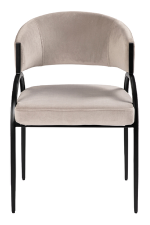 Gray Velvet Dining Chair | Liang & Eimil Pavilion | Oroa.com