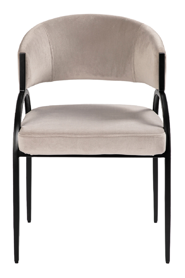 Gray Velvet Dining Chair | Liang & Eimil Pavilion | Oroa.com