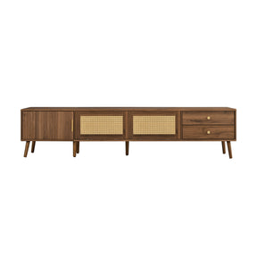 Modern European furniture - Modern Rattan Doors TV Stand - www.oroa.com