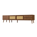 Modern Rattan Doors TV Stand | OROA