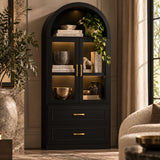 Modern Black Arched Glass Door Storage Cabinet | OROA