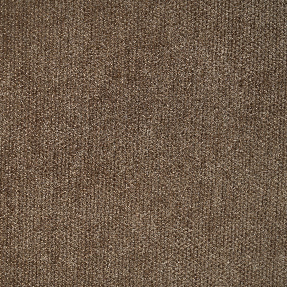Curved Contemporary Sofa | OROA