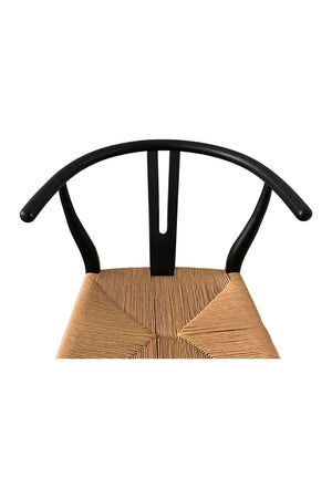 Modern European furniture - Black Elm Dining Chair Set (2) - www.oroa.com