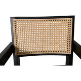 Modern European furniture - Rattan Mid-Century Dining Chairs (2) - www.oroa.com
