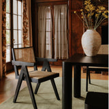 Modern European furniture - Rattan Mid-Century Dining Chairs (2) - www.oroa.com