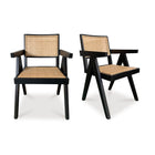 Modern European furniture - Rattan Mid-Century Dining Chairs (2) - www.oroa.com