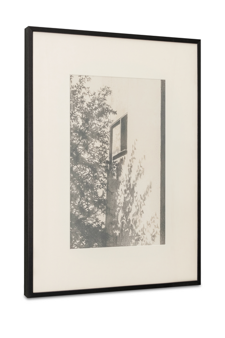 Secluded Home Framed Print | Novi Living Retreat 1 | Oroa.com