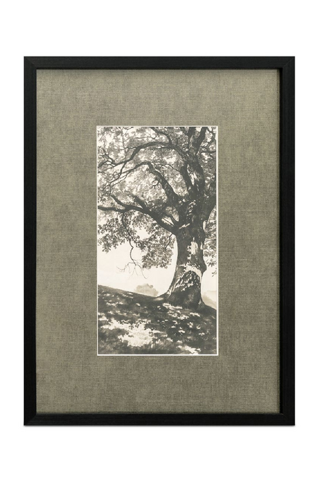 Monochromatic Tree Framed Print | Novi Living Arise | Oroa.com