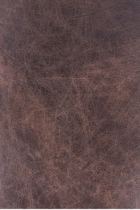 Modern European furniture - Brown Leather Club Chair - www.oroa.com