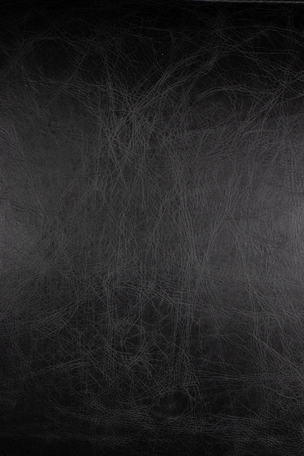 Black Leather Occasional Chair | Novi Living Paradiso | Oroa.com