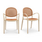 Modern European furniture - Woven Design Outdoor Dining Chairs (2) - www.oroa.com