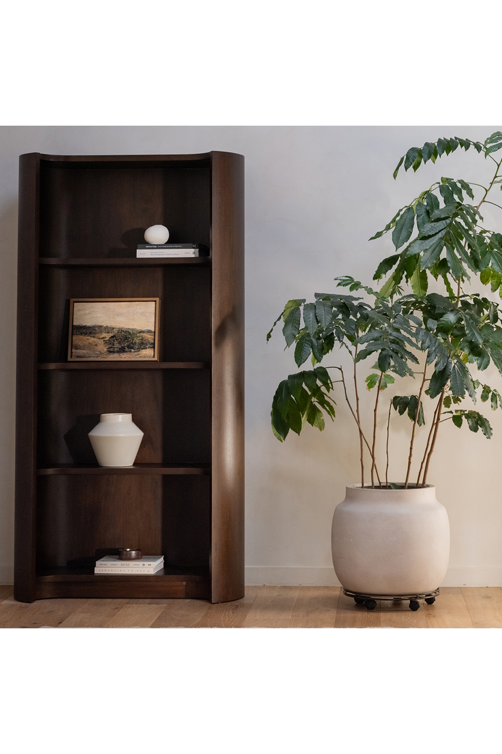 Solid Mahogany Bookcase | Novi Living Nera | Oroa.com