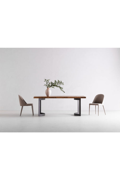 Modern European furniture - Gray Fabric Dining Chairs (2) - www.oroa.com